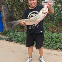 黄河