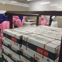 巴沙鱼片