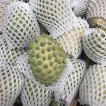 释迦果