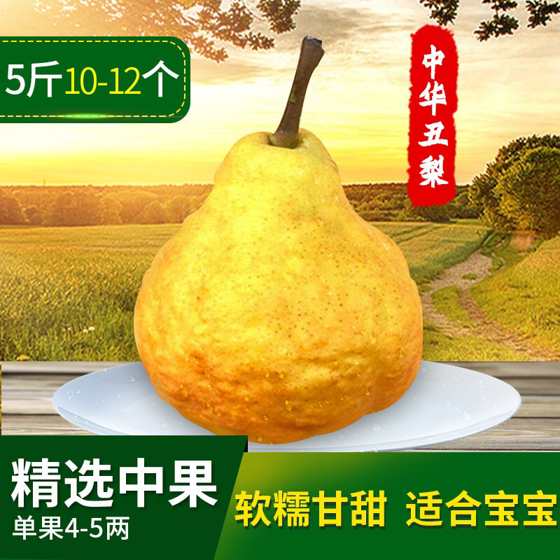[丑梨批发]山东威海文登区梨 4.20元/斤丑梨中果4-5两大量 _ 一亩田