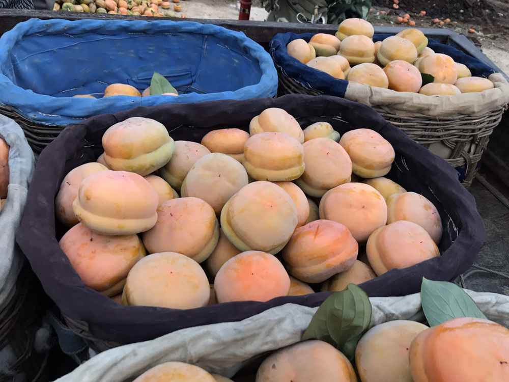 丰收场景中的磨盘柿