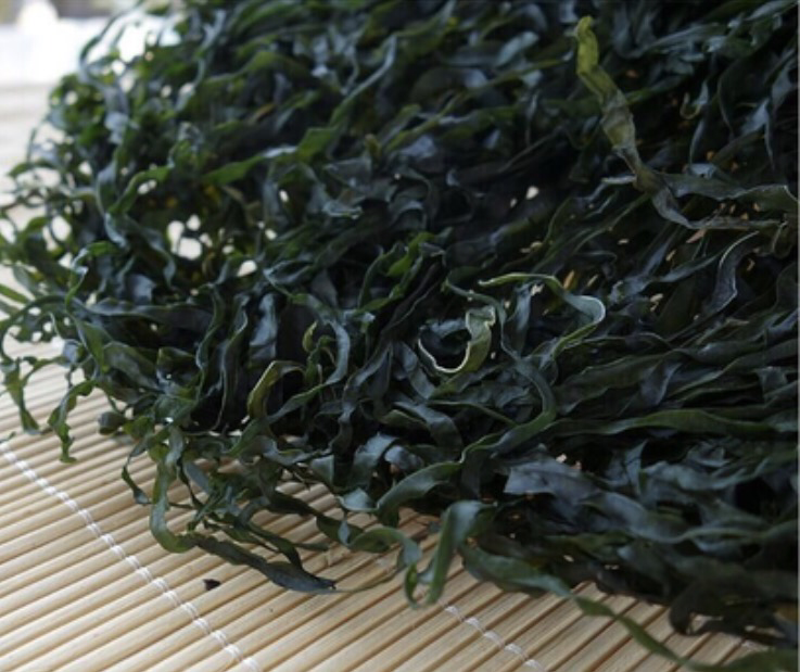 一片完整的长岛宽体海带平铺在阳光下的沙滩上,海带呈深褐色,叶片宽阔厚实,边缘平整,表面有自然光泽,背景可见浅蓝色海水与礁石,体现原生态采收环境 长岛宽体海带原株特写