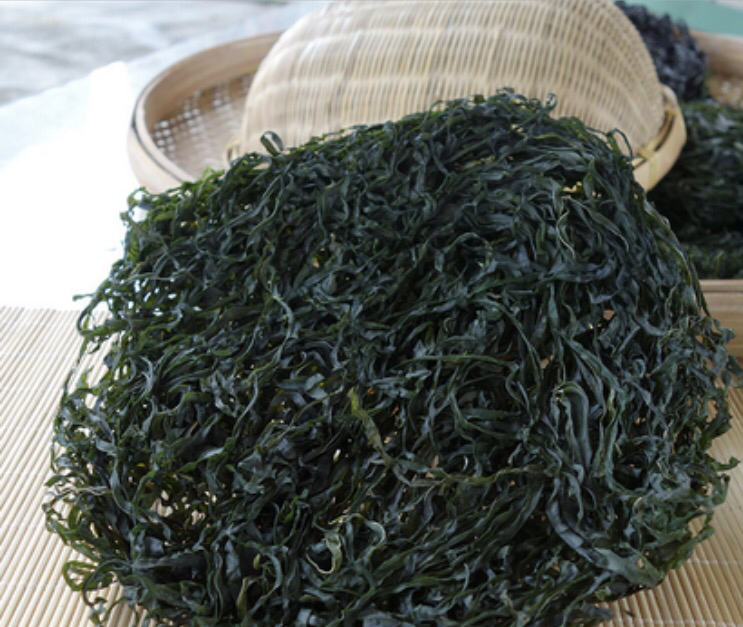 海带营养价值图解