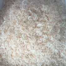 虾皮