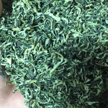 微山湖荷叶茶荷叶尖2026年嫩芽荷叶茶荷叶茶