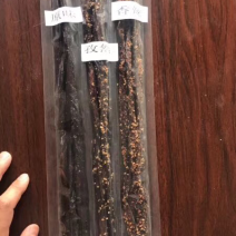 风干牛肉条