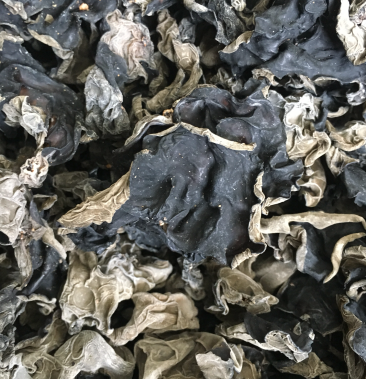 黑木耳,食用菌批发,人工黑木耳批发