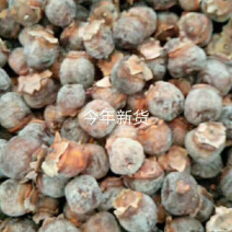 老树白毛柿饼，一级货