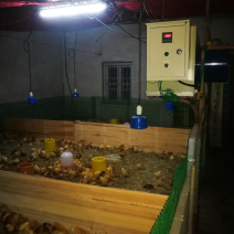 畜禽养殖暖风机热风炉供暖加温设备电暖风炉