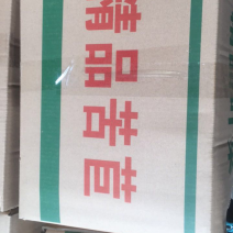 精品苦苣