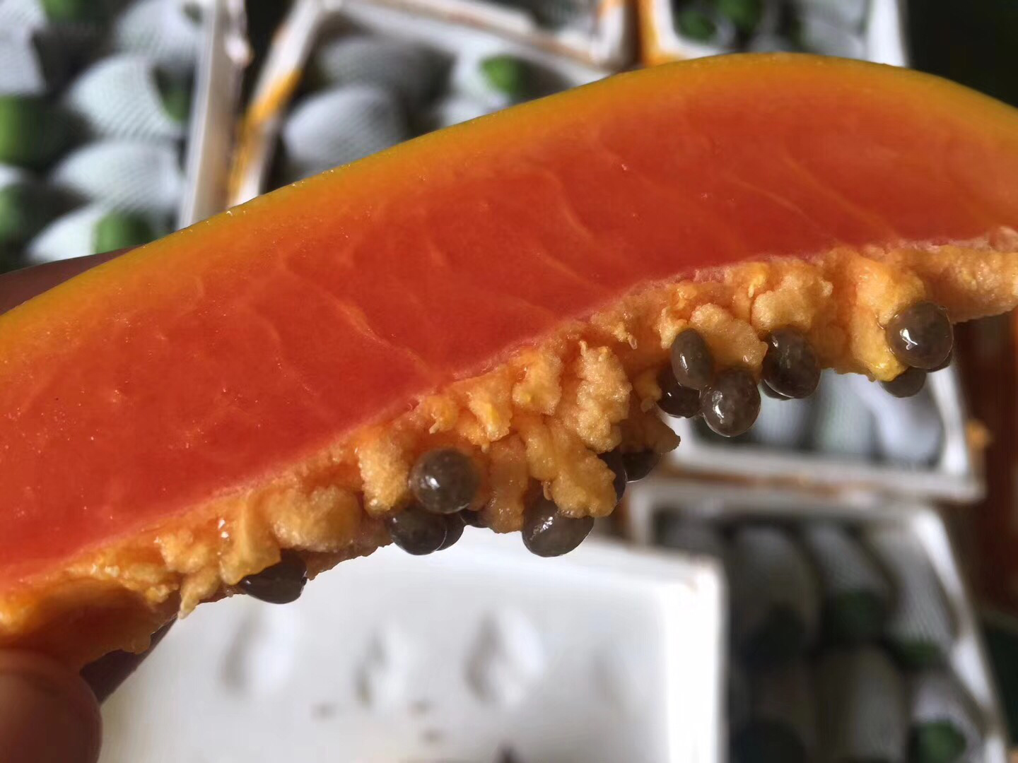 木瓜剖开后内部黑色籽的特写照片