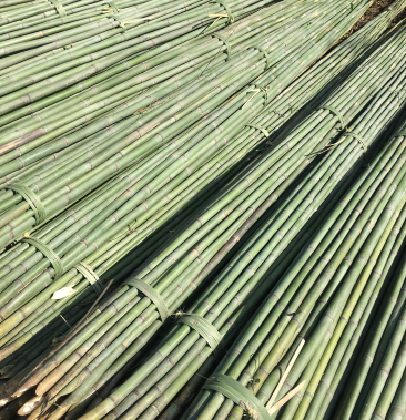 【希望竹业】竹竿竹片菜架竹大棚竹支撑杆竹旗杆竹条竹制品