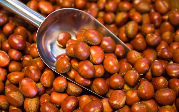 迁西板栗对比图