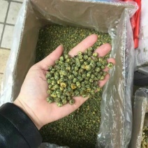 野菊花颗粒