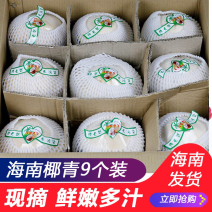 椰青海南椰子新鲜椰青9个装批发包邮