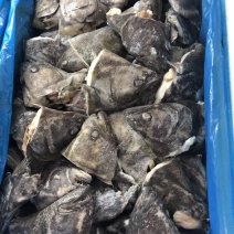 鸦片鱼头鲽鱼头全规格