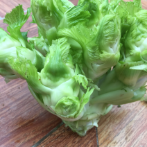 儿菜