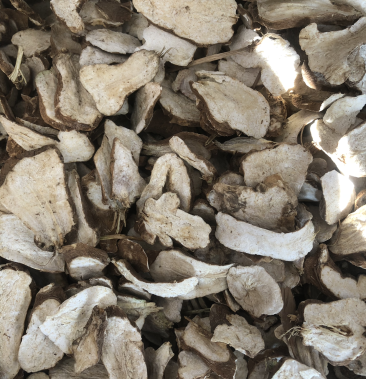 白术 白术片 生白术 炒白术