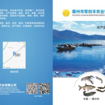 鲶鱼