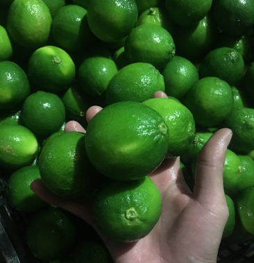 青柠檬薄皮青柠檬清香青柠檬无籽青柠檬