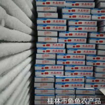 桂林柿饼各种规格支持定制一件代发