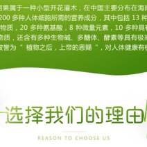 诺丽果干，自家种自家晒一斤33元包邮，自然晾晒