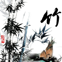 长期供应各种竹子