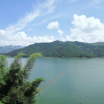 “万峰生态鲤鱼”，不投放任何饲料