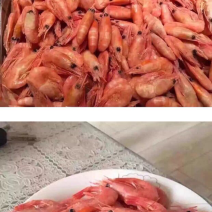 北极虾