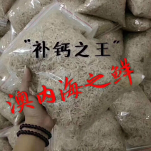 虾皮