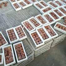 柿饼