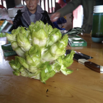 儿菜