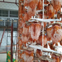 正宗富平柿饼