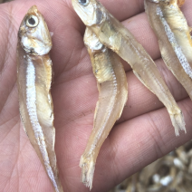 小鱼干银鱼干