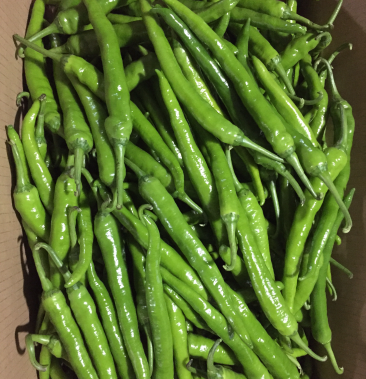 [杭椒批发]大量杭椒12号价格0.60元/斤 - 一亩田