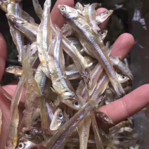 小鱼干银鱼干