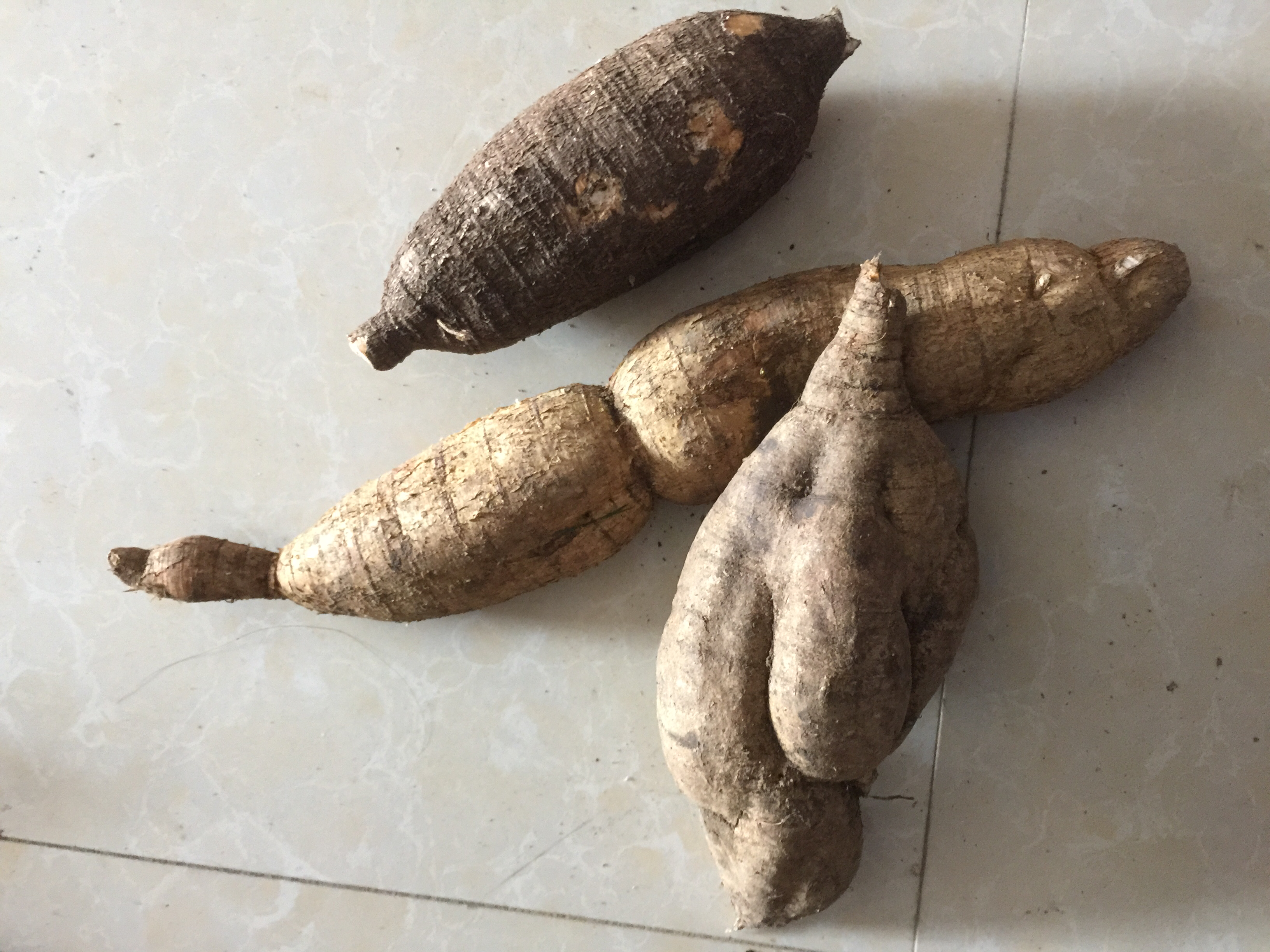 番石榴根煎煮过程