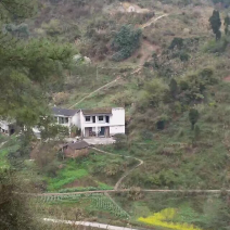 宅基地-农房出租