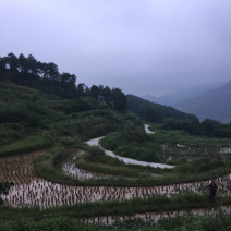 宅基地-农房出租