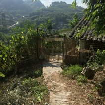 宅基地-农房出租