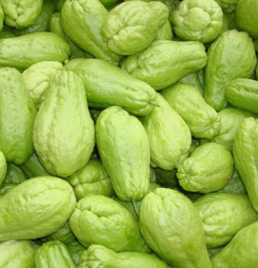 佛手瓜预售,广东商品瓜