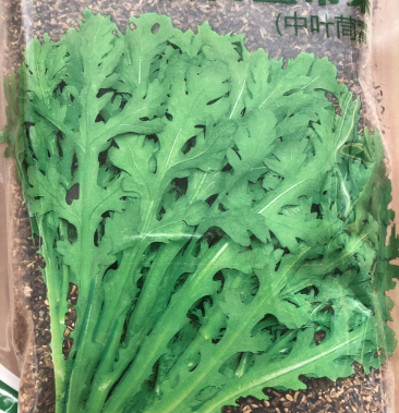 茼蒿种子节间短侧枝多400克袋