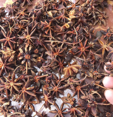 广西八角干枝八角秋八角大料香料卤肉料500克包邮