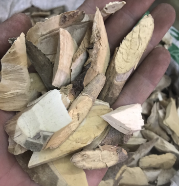 [黄栀子鲜果批发]黄枝根 黄栀子根价格8.00元/斤 - 一亩田