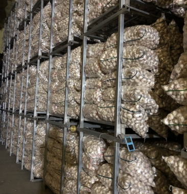 [大蒜批发]邳州冷库净蒜各种等级质量好购买量大价格再议价格2.
