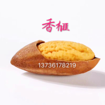 好香榧在农家一一榧常好