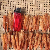 虾干虾条海米