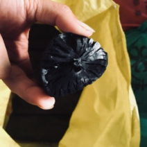 果木炭