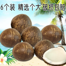椰皇海南椰子椰皇老椰子多规格可选批发包邮