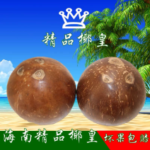 椰煌海南椰子椰皇9个装可榨汁批发包邮
